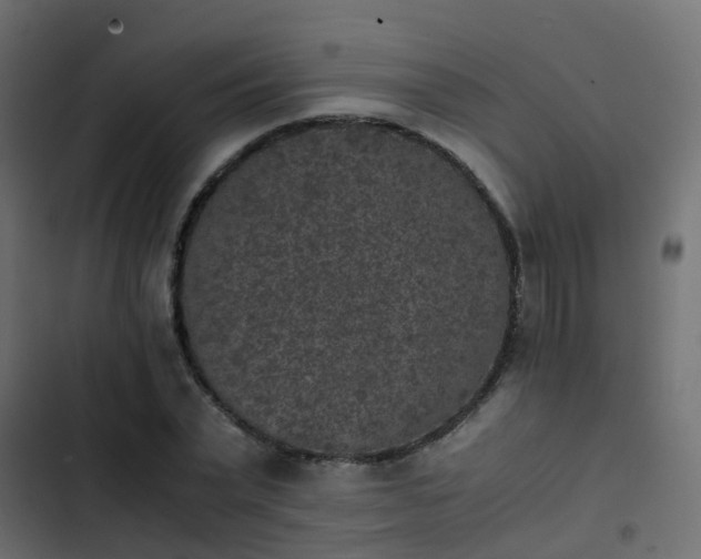X0000103960783200809261810