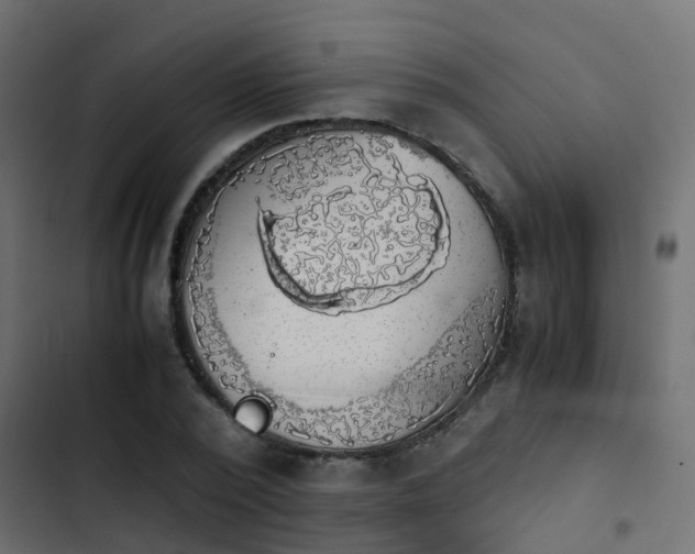 X0000103960784200809261810