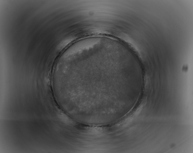 X0000103960785200809261810