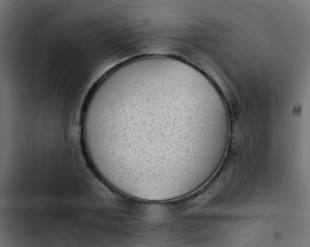 X0000103960787200809261810
