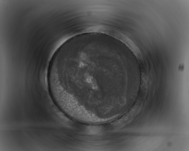 X0000103960788200809261810