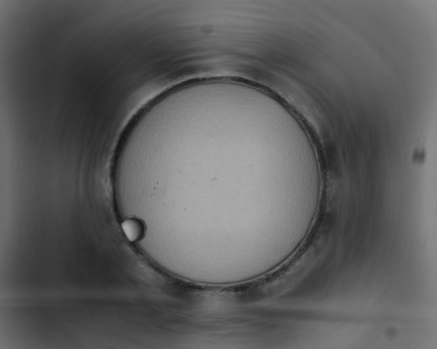X0000103960789200809261810