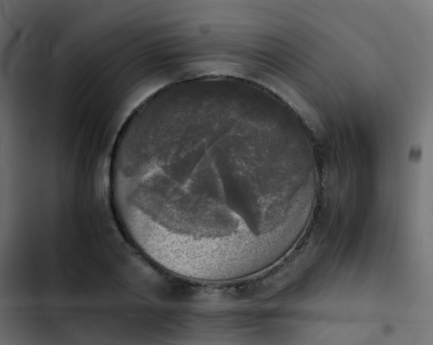 X0000103960790200809261810