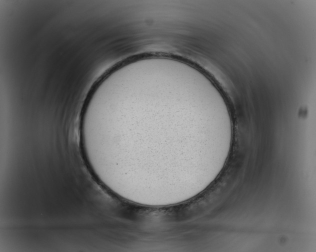 X0000103960791200809261810