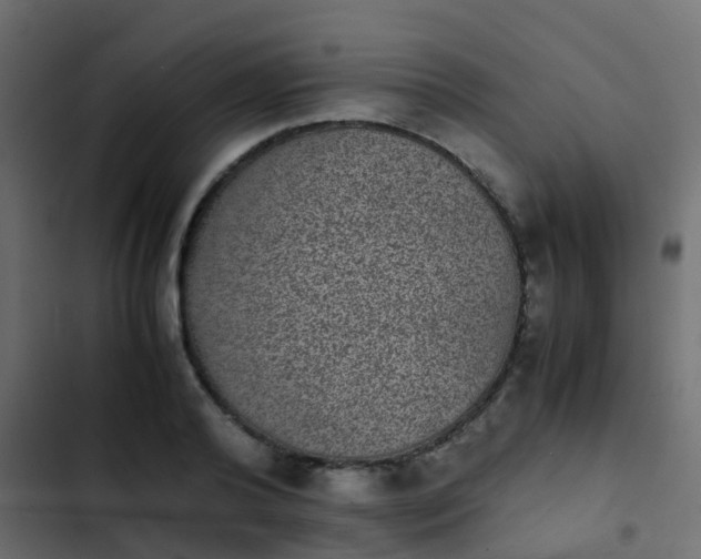 X0000103960792200809261810