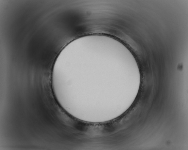 X0000103960793200809261810