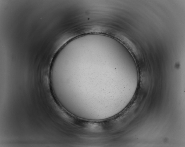 X0000103960794200809261810