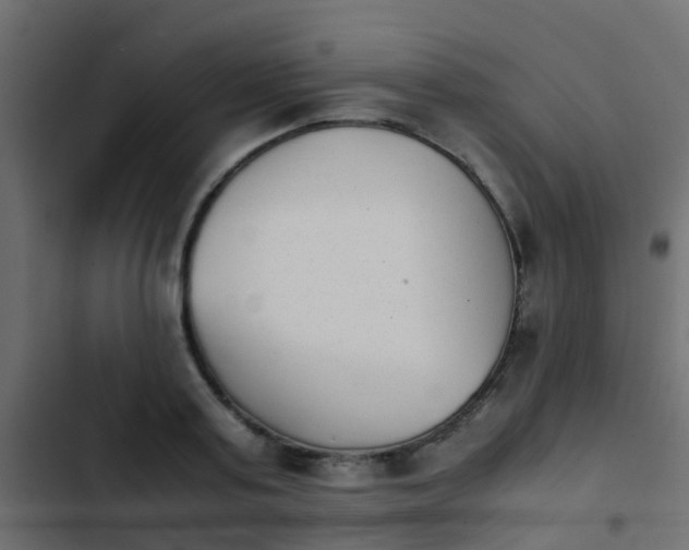 X0000103960795200809261810