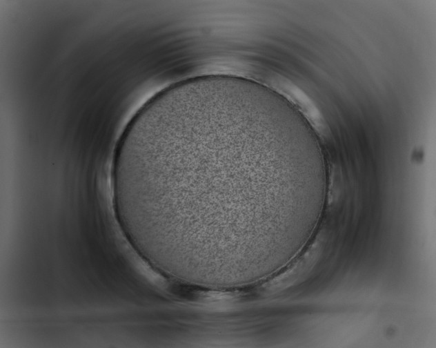 X0000103960796200809261810
