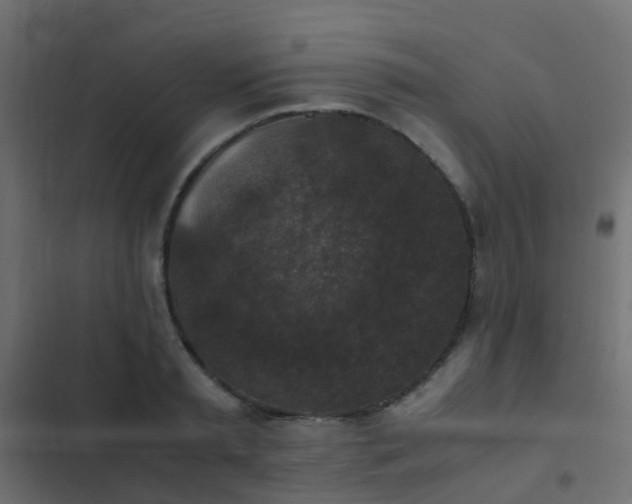 X0000103960797200809261810