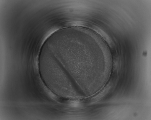 X0000103960798200809261810