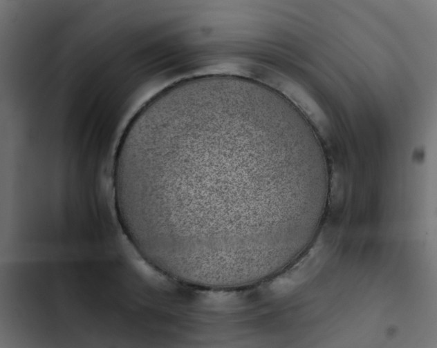 X0000103960800200809261810