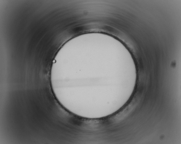 X0000103960801200809261810