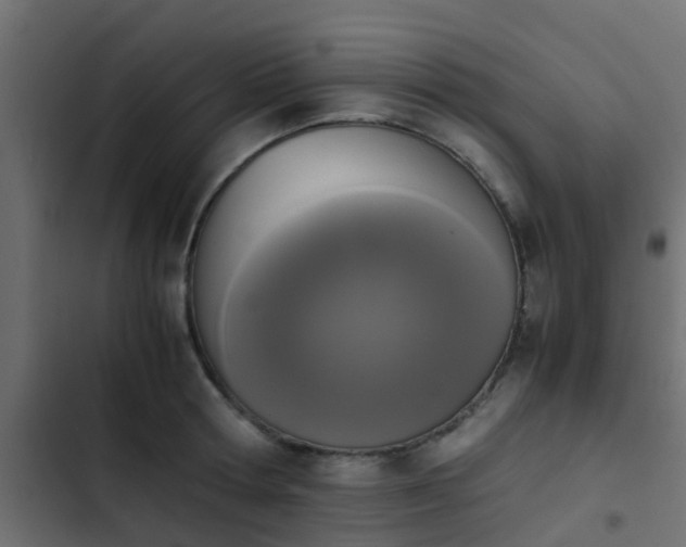 X0000103960802200809261810
