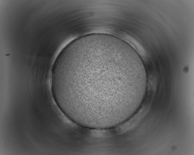X0000103960804200809261810