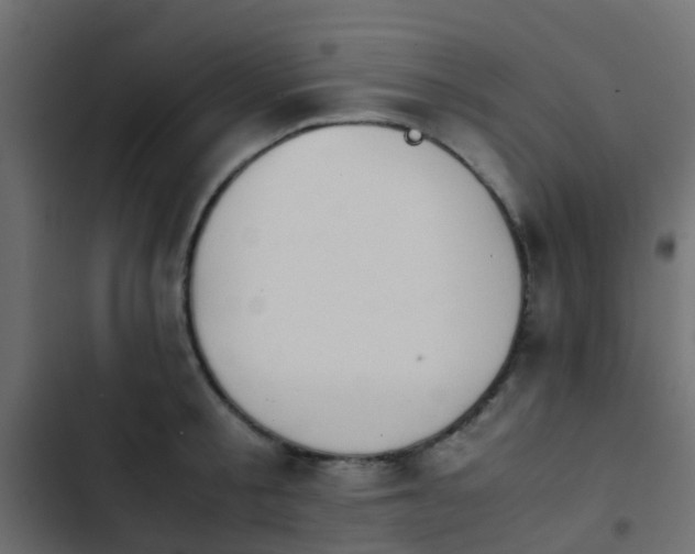 X0000103960805200809261810