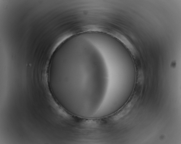 X0000103960806200809261810
