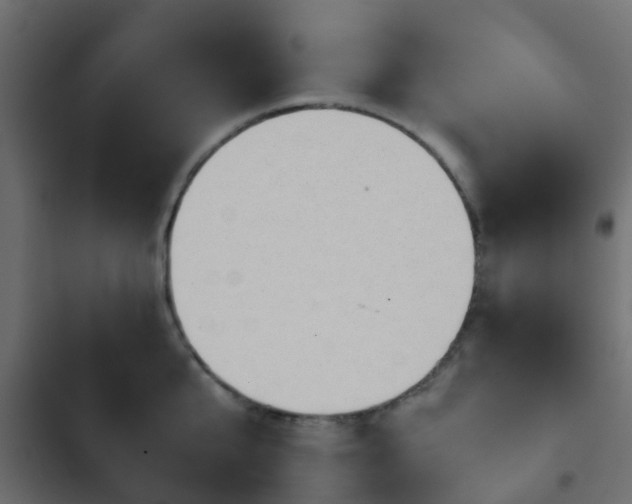 X0000103960807200809261810