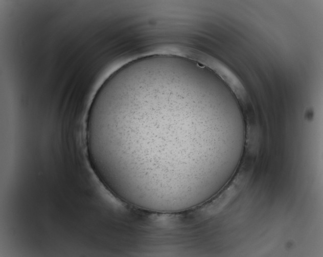 X0000103960808200809261810