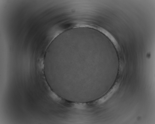 X0000103960809200809261810
