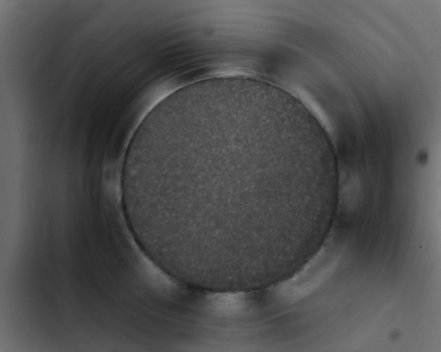 X0000103960810200809261810