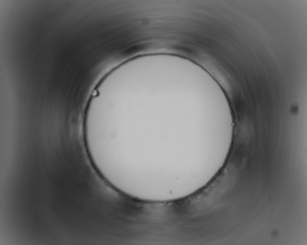 X0000103960813200809261810
