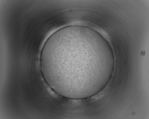 X0000103960816200809261810