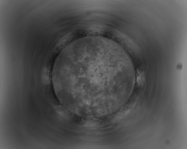 X0000103960819200809261809