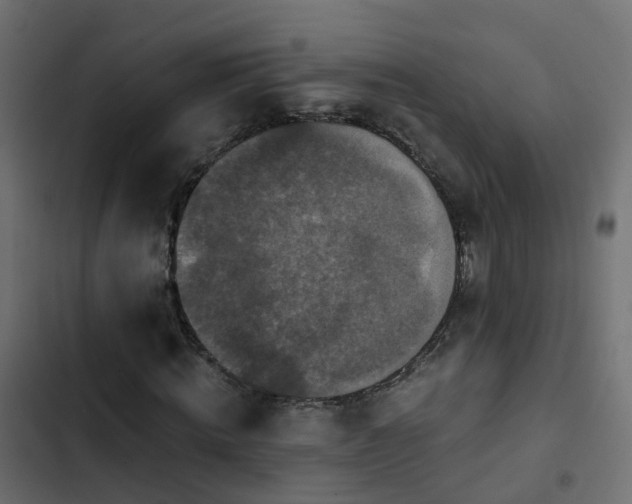 X0000103960820200809261809