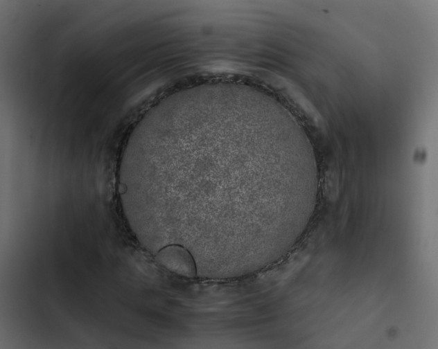 X0000103960821200809261809