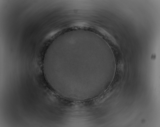 X0000103960822200809261809