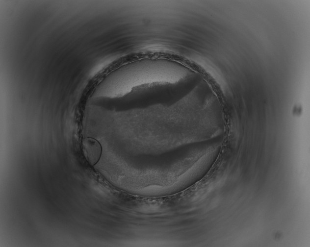 X0000103960823200809261809
