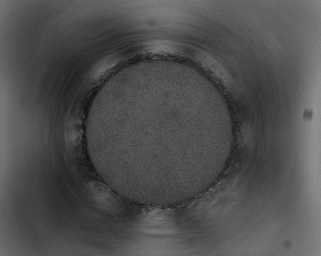 X0000103960824200809261809