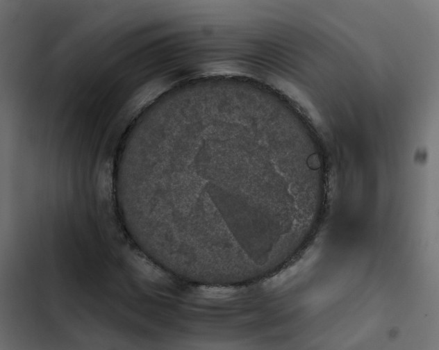 X0000103960825200809261809