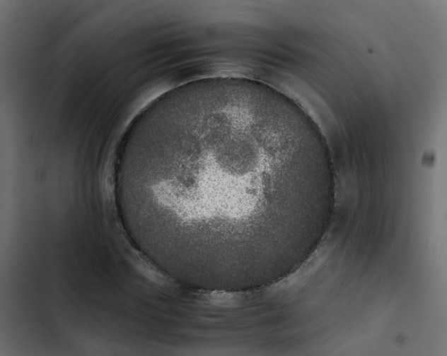 X0000103960827200809261809