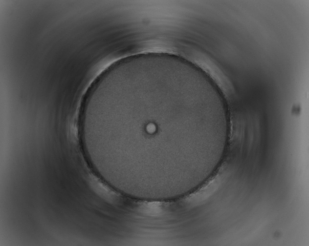 X0000103960828200809261809