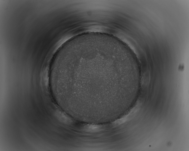 X0000103960829200809261809