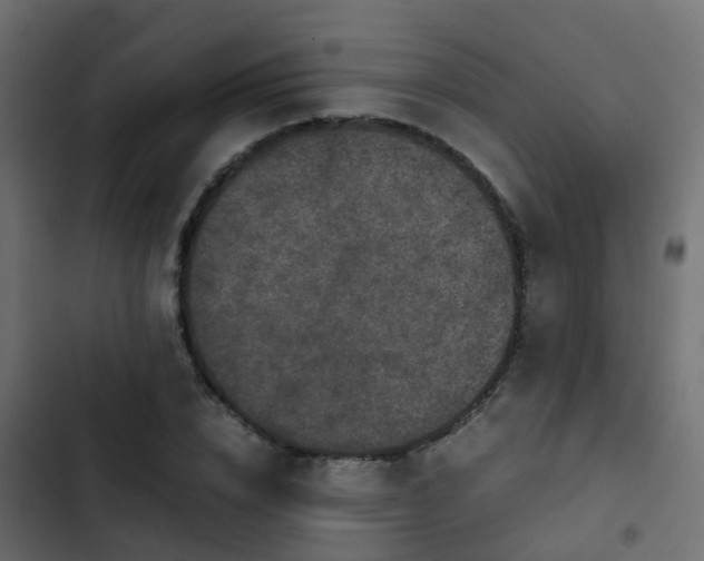 X0000103960832200809261809
