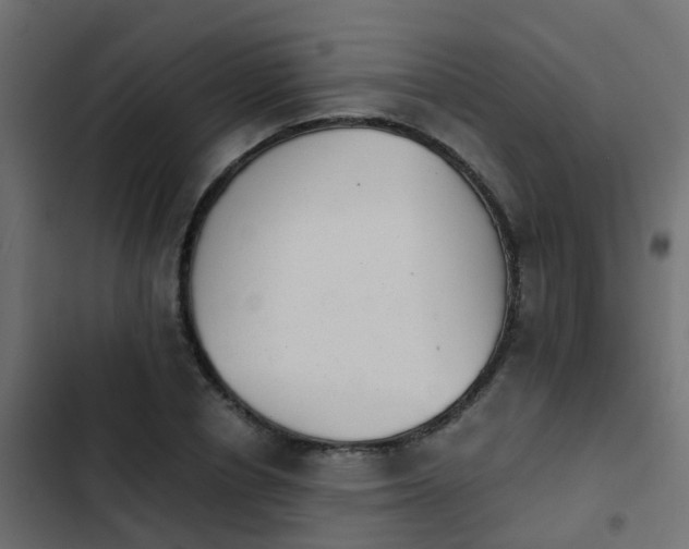 X0000103960834200809261809