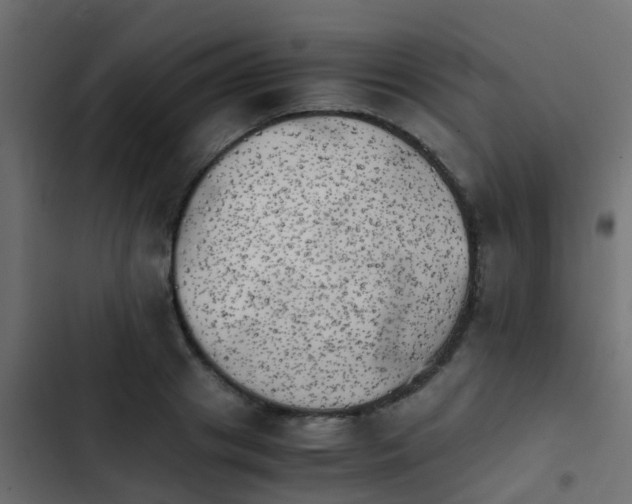 X0000103960841200809261809