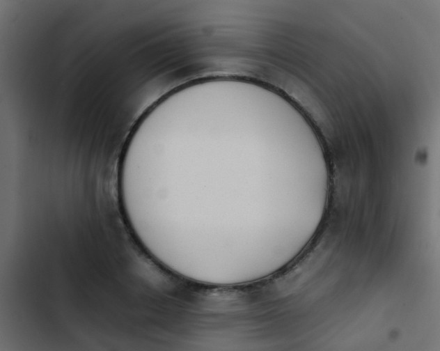 X0000103960842200809261809