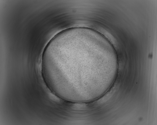X0000103960844200809261809