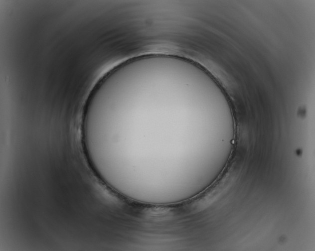 X0000103960846200809261809