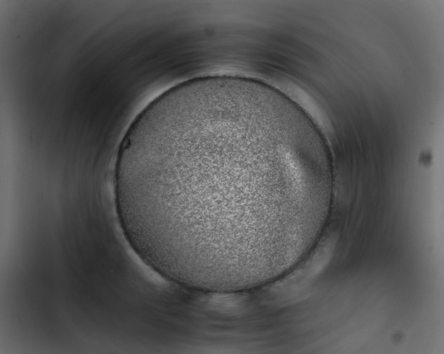 X0000103960847200809261809