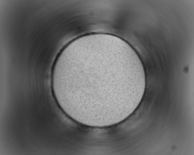 X0000103960848200809261809