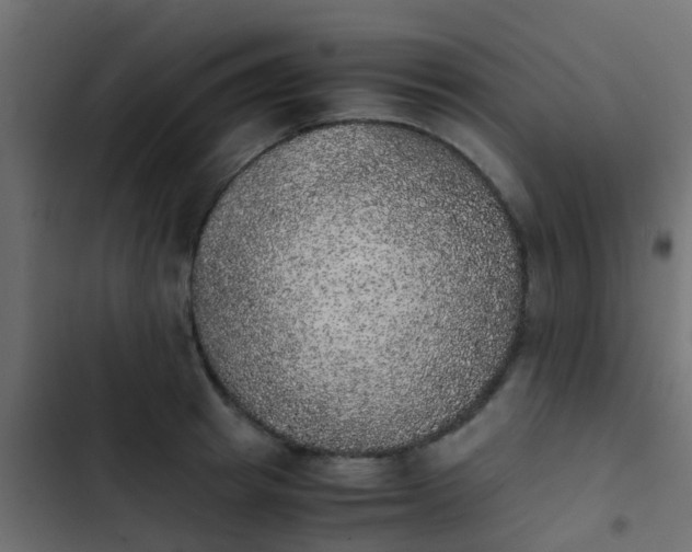 X0000103960849200809261809