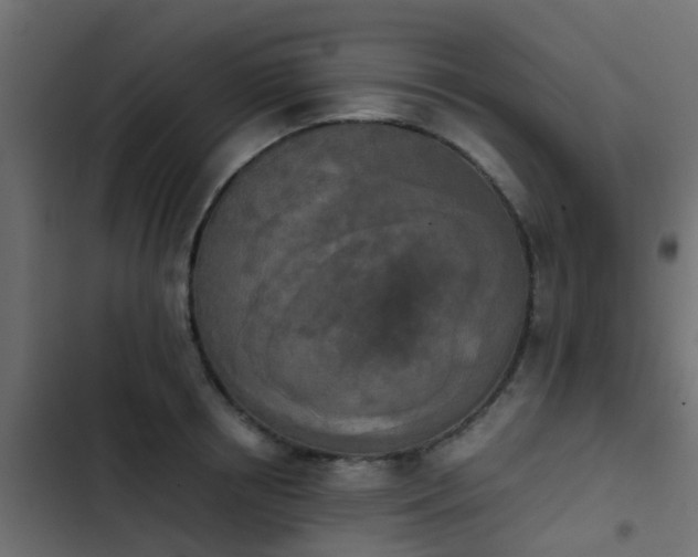 X0000103960850200809261809