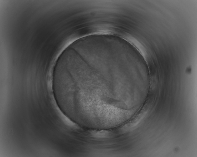 X0000103960851200809261809