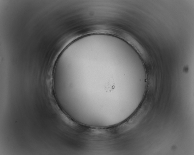 X0000103960852200809261809
