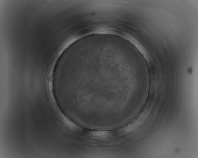X0000103960853200809261810